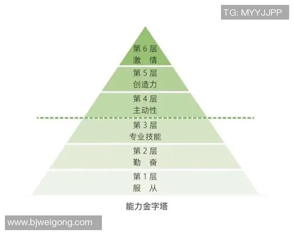 北京排球队意识表现分析大满贯点评揭示团队协作与战术执行的关键因素 北京排球队意识表现分析大满贯点评揭示团队协作与战术执行的关键因素