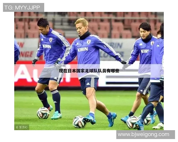 南京排球队的拼搏之路:从默默无闻到世界杯舞台的辉煌历程 南京排球队的拼搏之路:从默默无闻到世界杯舞台的辉煌历程