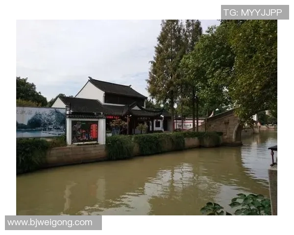 南京乒乓球队逆袭之旅揭秘洲际杯背后的拼搏与荣耀 南京乒乓球队逆袭之旅揭秘洲际杯背后的拼搏与荣耀