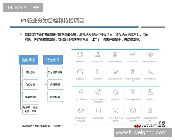 上海羽毛球队技术争议引发热议球员表现与战术选择的深度探讨 上海羽毛球队技术争议引发热议球员表现与战术选择的深度探讨