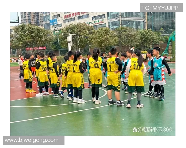 武汉篮球队表现出色最新篮球比赛经验TOP10全解析