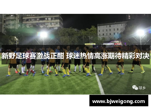 新野足球赛激战正酣 球迷热情高涨期待精彩对决