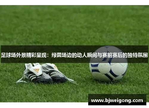 足球场外景精彩呈现：绿茵场边的动人瞬间与赛前赛后的独特氛围