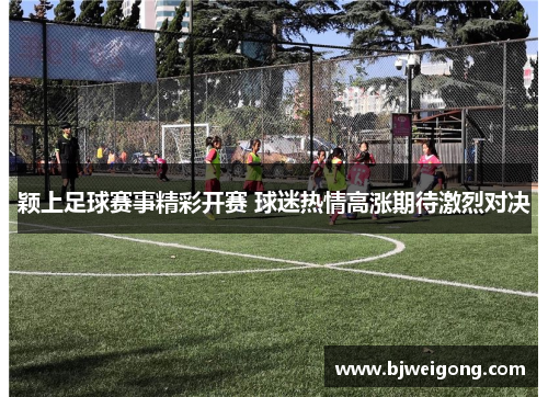颖上足球赛事精彩开赛 球迷热情高涨期待激烈对决