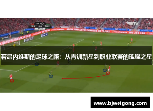 若昂内维斯的足球之路：从青训新星到职业联赛的璀璨之星